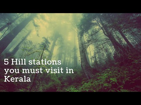 5 Hill Stations in Kerala that you must visit in your Life Time | Must visit Hill Stations in Kerala