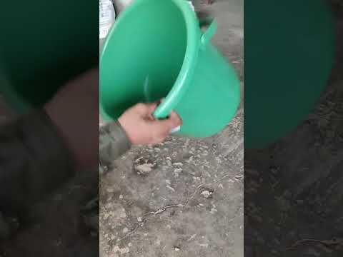 Plastic Stool