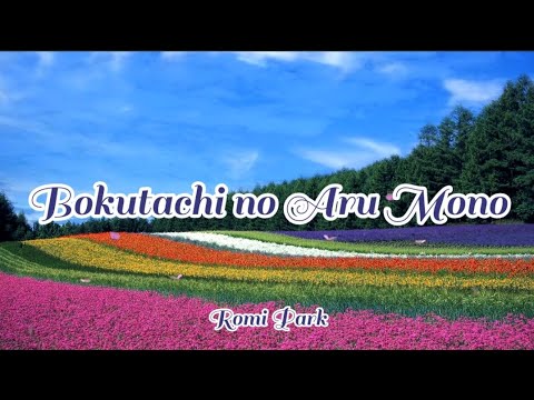 Ueki no Housoku Evolution Romi Park