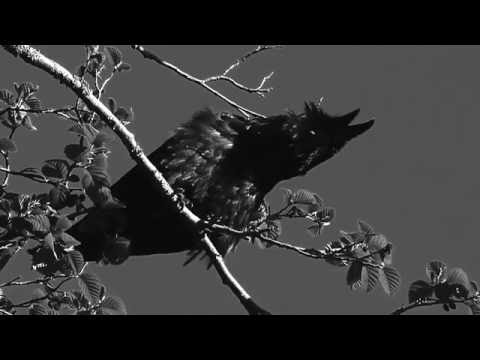 Felix Galtier Ragnarok