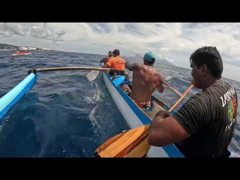 Les pingouins du faati digue 🤙🏾