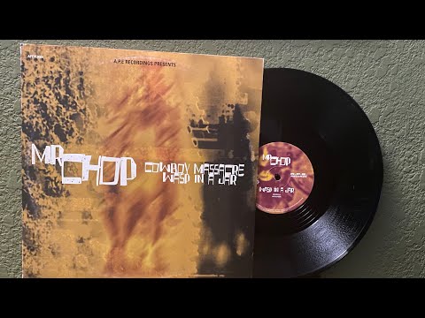 Mr. Chop - Wasp In A Jar (vinyl)
