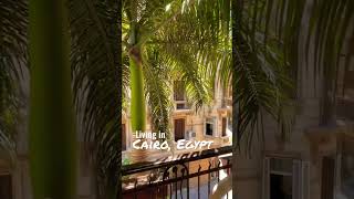 Living in Cairo, Egypt #lifeinegypt #cairo #egypt