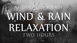 Wind and Rain Relaxation Two  Hours Natural Sleep Sounds (White Noise for Sleep, Study, Meditation)