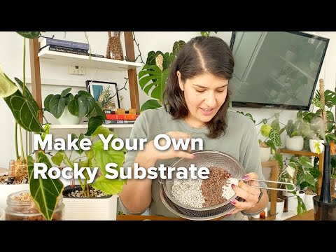 , title : 'How to make your own lechuza pon! DIY rocky plant substrate for soil free and hydroponic growing.'