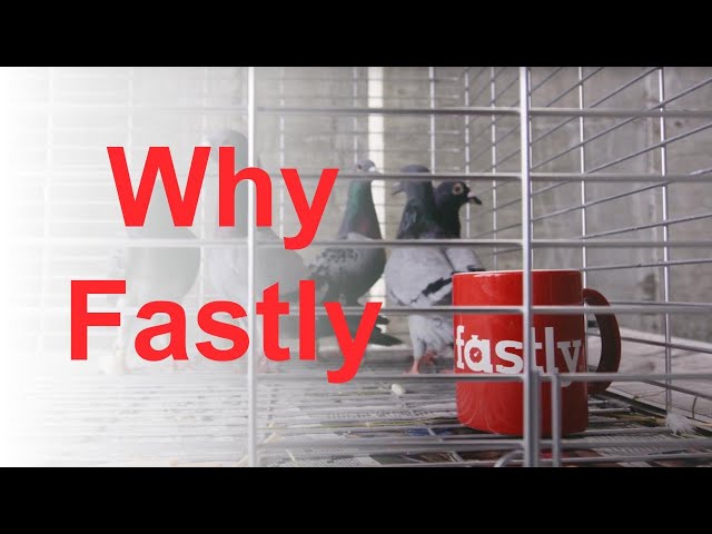 Fastly product / service