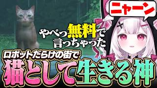 【Stray】ロボットしかいないサイバーシティで猫として生きる神
