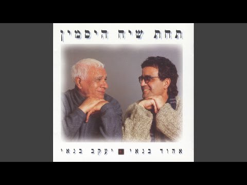 Video thumbnail for Jamily Furush - ג’מלי פורוש