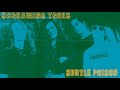 Screaming Trees-Subtle Poision (first version 1988 Spinhead)