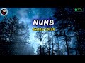 Linkin Park - Numb (Guitar Cover) | The Acoustic Guitar Force |