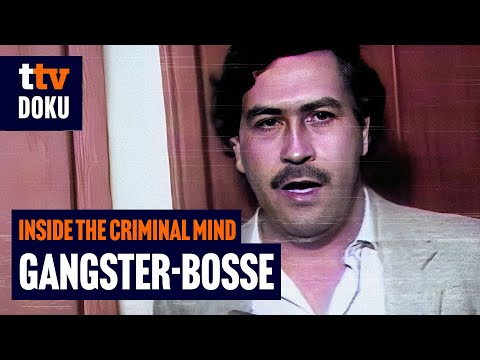 Episode 2: Gangster-Bosse – Inside the Criminal Mind (Kriminelle Legenden, True-Crime Doku)