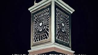 Download lagu Story wa - Mekarlah Bunga Teratai Dijiwaku mp3