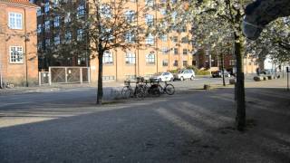 Gerlev Parkour - Ren kærlighed