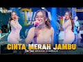 CINTA MERAH JAMBU ( Cinta Lahir Batin ) - YUNI YUNEL OM NIRWANA COMEBACK