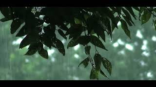 Download lagu Free Rain sample- DJ/logic/Cubase. mp3