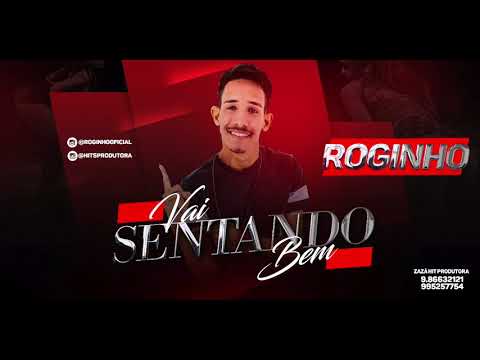MC ROGINHO - VAI SENTANDO BEM - ÁUDIO OFICIAL 2017