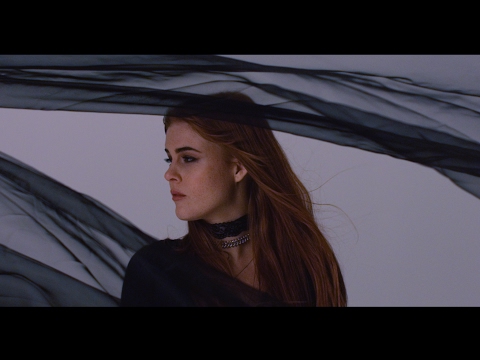 Video thumbnail for Evolution