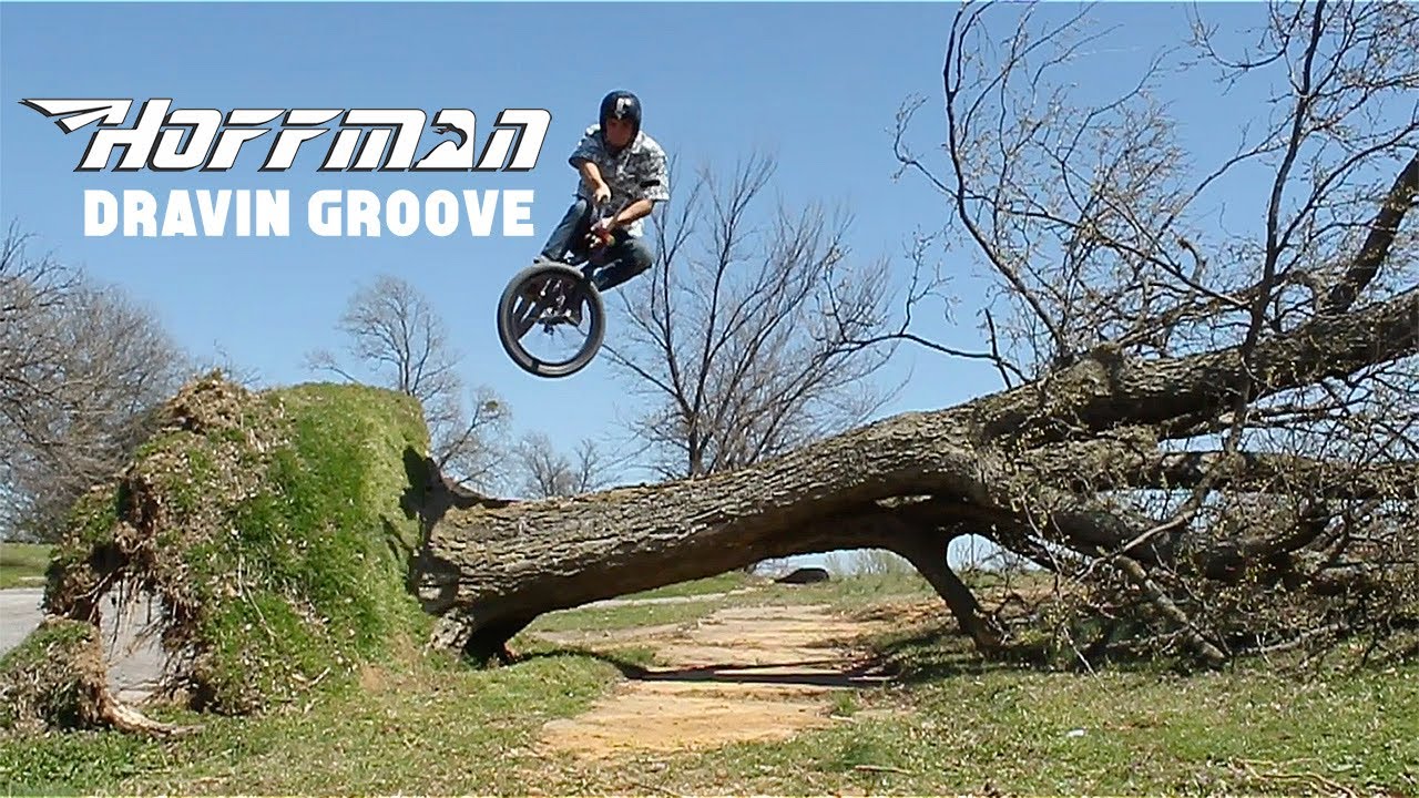 Video of the day