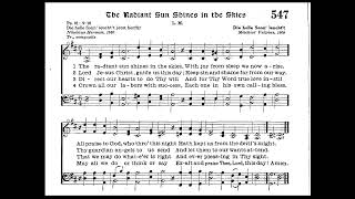 The Radiant Sun Shines in the Skies