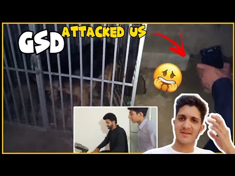 deray pr 🐶 NY attack krdiya 😨|| mne record toor diya 🤣 || SAHIL LIFETIME