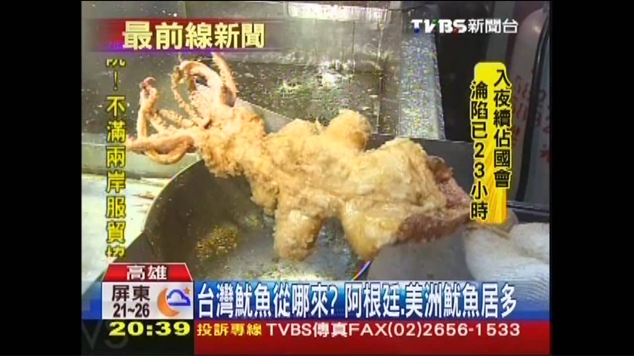 噱頭！沖繩、帛琉不產魷魚　台夜市卻熱賣