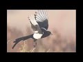 Radiohead All I Need Outro Extended Version HQ
