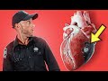 CARDIOGENIC SHOCK Explained In Under 6 Minutes