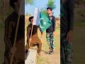 Salute Pak Army Youtubeshorts Youtube Pakarmyzindabad Pakarmy