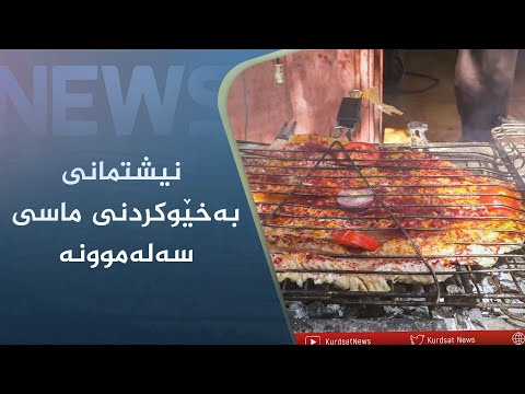 بەڤیدیۆ.. گوندی رێژاو لە سەرپێلی زەھاو نیشتمانی بەخێوکردنی ماسی سەلەموونە