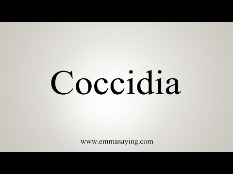 How To Say Coccidia