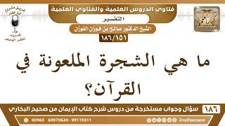 [151 /186] ما هي الشجرة الملعونة في القرآن؟ الشيخ صالح الفوزان image