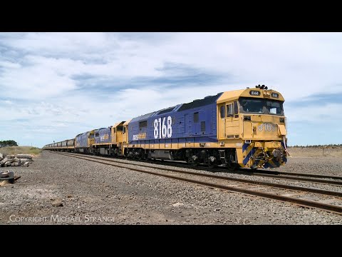 7731V Pacific National Standard Gauge Grain Train With VHAF Hoppers (4/12/2023) - PoathTV