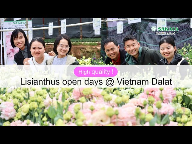 Lisianthus open days @ Vietnam Dalat 2023/2/13