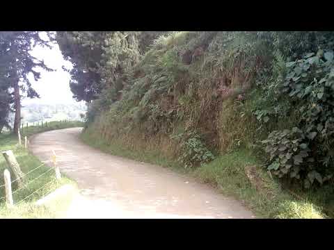 Norte de Antioquia. Llano de Ovejas