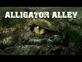 Alligator Alley 2013 Full Movies
