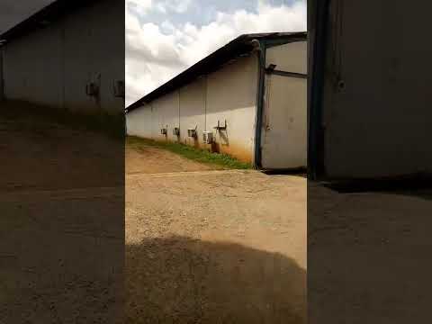 13.5-Acre Warehouse & Office Complex for Sale at Iyana-Isolo