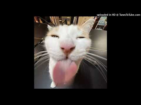 *free* glaive x tsubi club type beat - i care too much about nothing