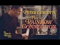 Peter Cincotti: The Rainbow Connection