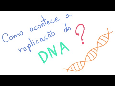 Como acontece a replicação do DNA?
