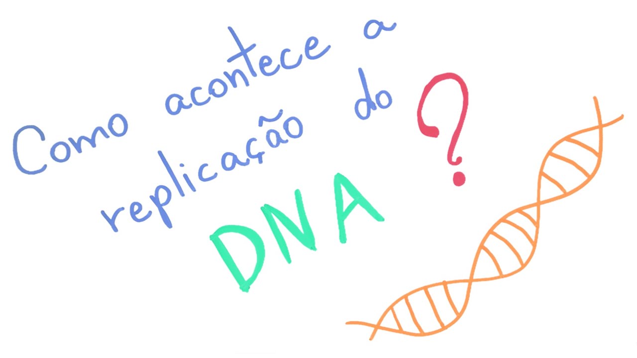 Como acontece a replicação do DNA?