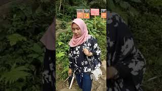 preview picture of video 'Explore curug 7 cilember'