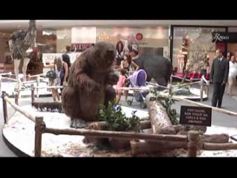 Programa Neusa Bighetti exibido no dia 04/03/2012 - Ribeirão Shopping