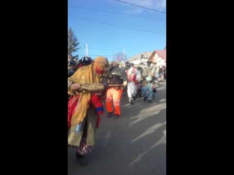 Uratorii 2015/2016 Laza centru.