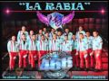 El Son De La Rabia - Banda 466 Paso A Paso