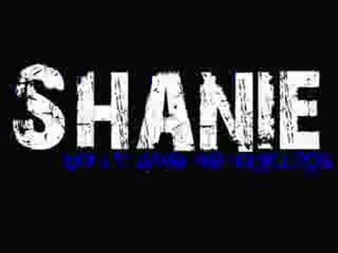 Shanie - Don't Give Me Your Life