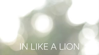 Adam & Darcie - In Like A Lion