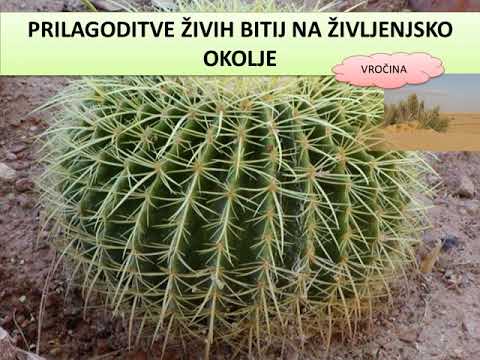 Življenjska okolja 3. razred   SPO