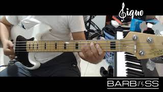 Magnifico Rey - Marco Barrientos | Bajo Slap Intro