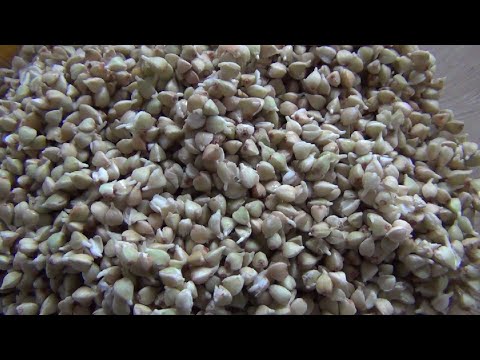 Teil 14a: Buchweizen - Anleitung für Sprossen, Keimlinge & Grünkraut