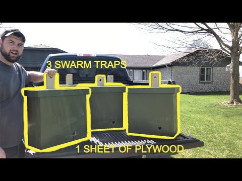 3x Swarm Traps from 1x Sheet of Plywood